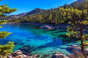 Lake Tahoe-0387.jpg